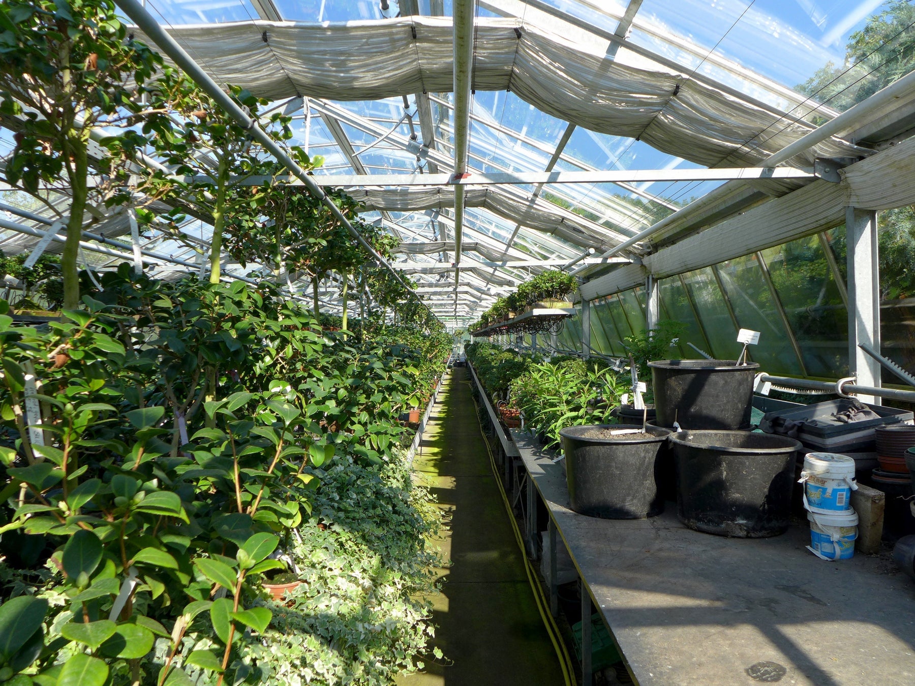 7 Questions to Ask Before You Buy Your First Commercial Greenhouse - Precision Grow Systems