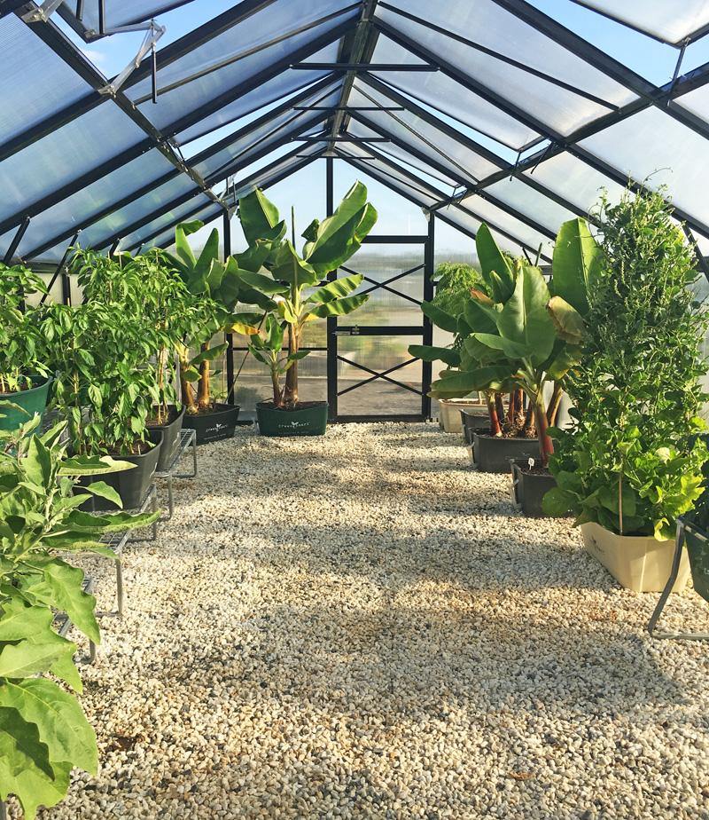 Polycarbonate Greenhouse (13.1' x 26.2')
