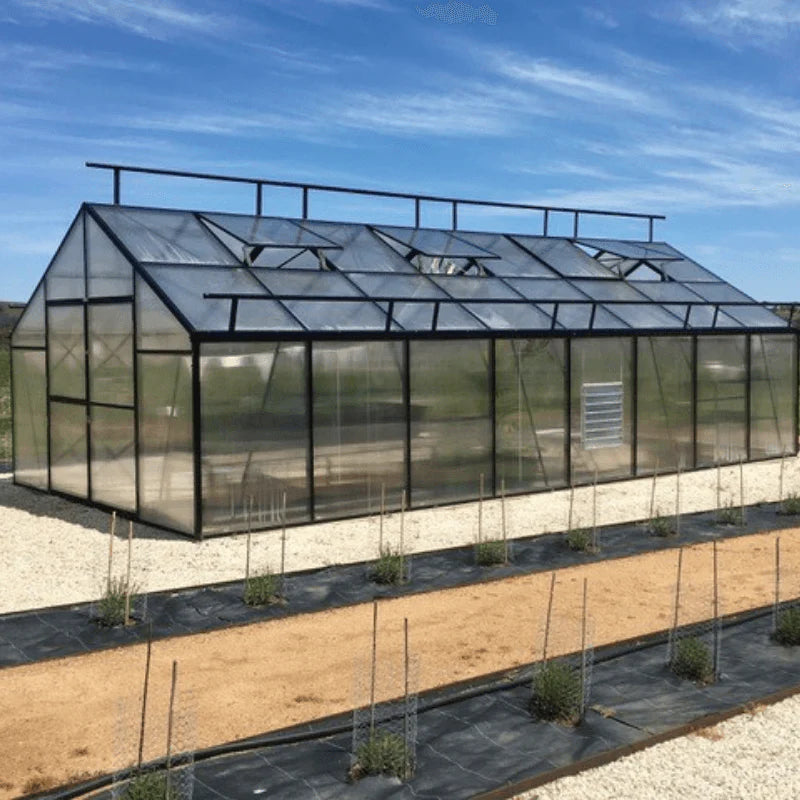 Polycarbonate Greenhouse (13.1' x 26.2')