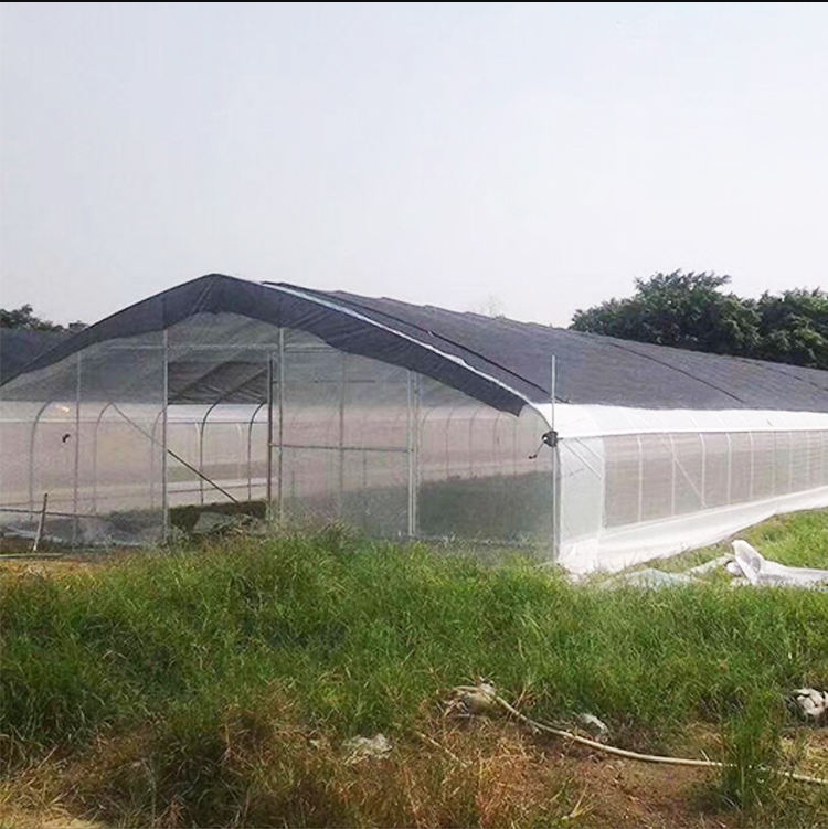 Single Span Gothic Arch Greenhouse