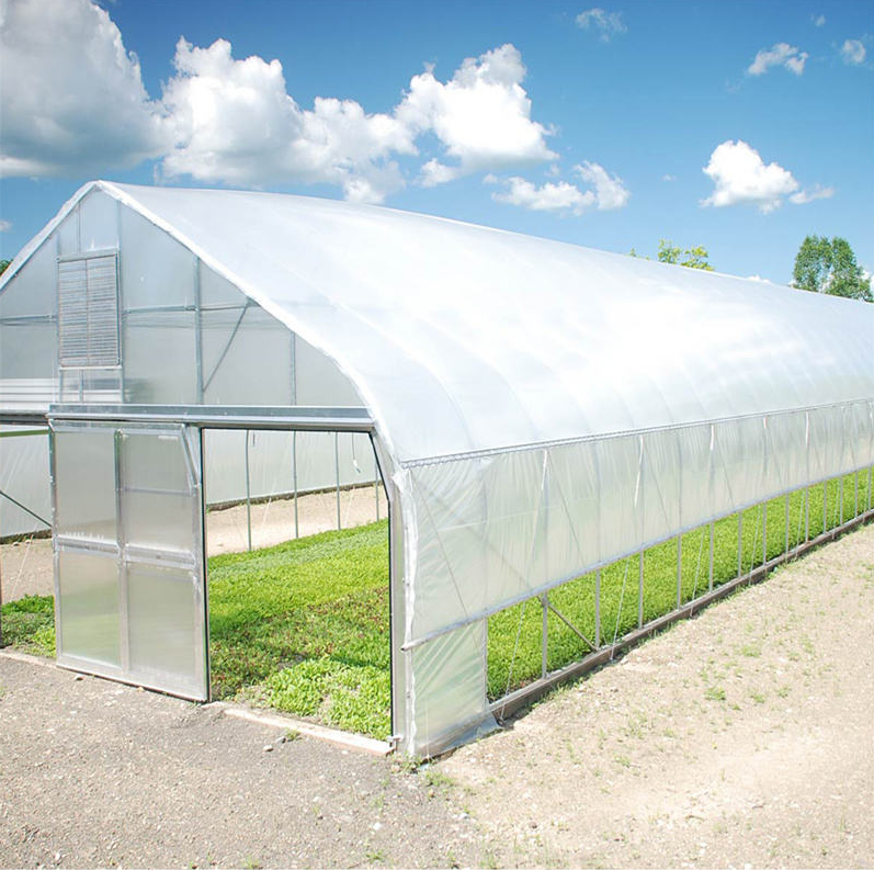 Single Span Gothic Arch Greenhouse