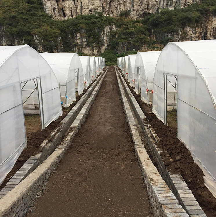 Single Span Hoophouse Tunnel