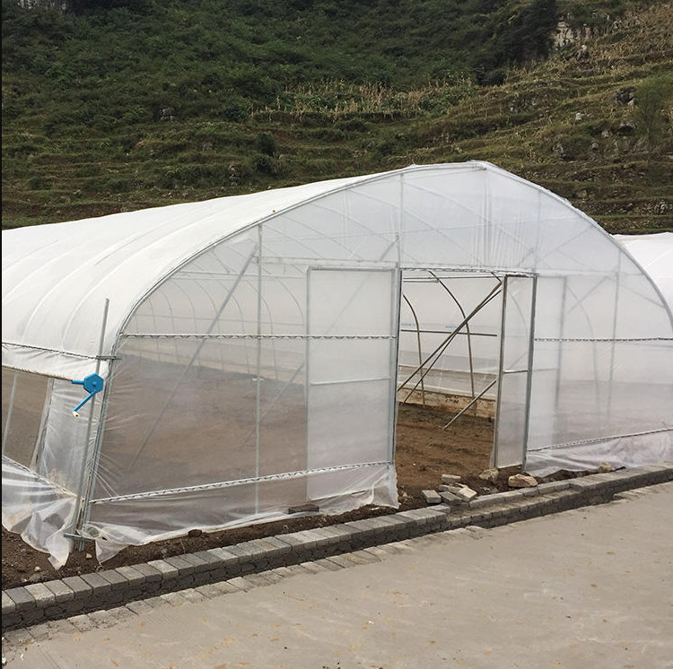 Single Span Hoophouse Tunnel