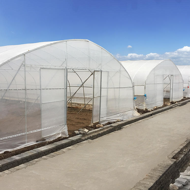 Single Span Hoophouse Tunnel