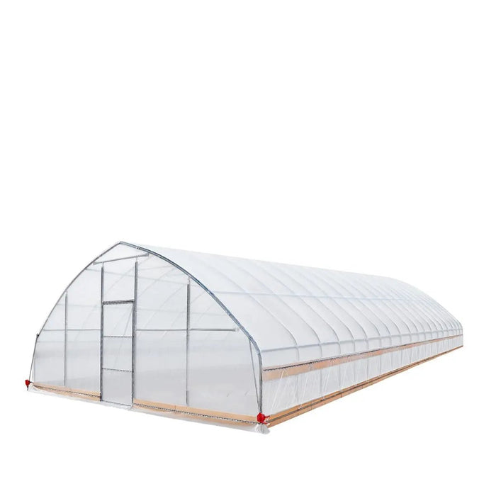 Commercial Polytunnel Greenhouse (25' x 80')