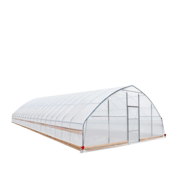 Commercial Polytunnel Greenhouse (25' x 80')