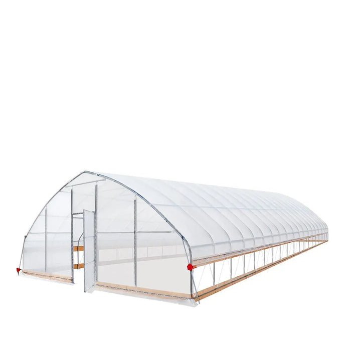 Commercial Polytunnel Greenhouse (25' x 80')
