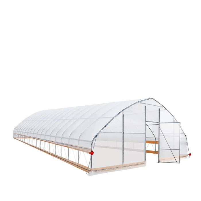 Commercial Polytunnel Greenhouse (25' x 80')