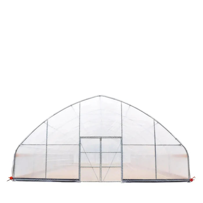 Commercial Polytunnel Greenhouse (30' x 30')