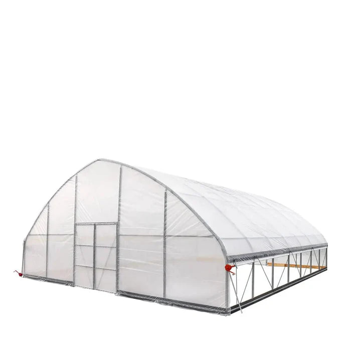 Commercial Polytunnel Greenhouse (30' x 30')