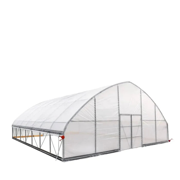 Commercial Polytunnel Greenhouse (30' x 30')