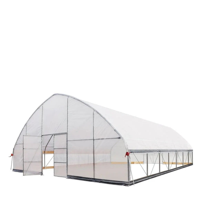 Commercial Polytunnel Greenhouse (30' x 30')