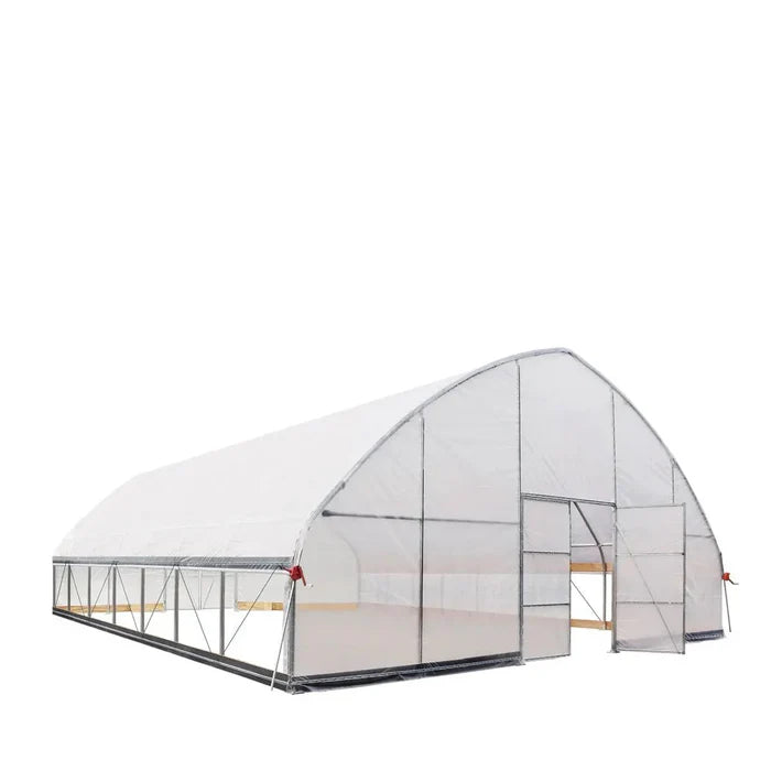 Commercial Polytunnel Greenhouse (30' x 30')
