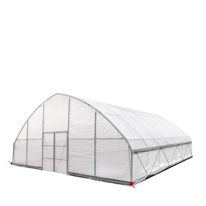 Commercial Polytunnel Greenhouse (30' x 30')