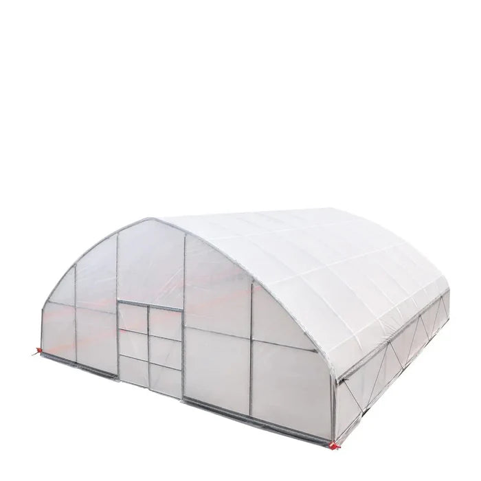 Commercial Polytunnel Greenhouse (30' x 30')