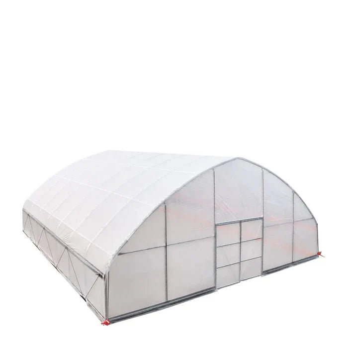 Commercial Polytunnel Greenhouse (30' x 30')