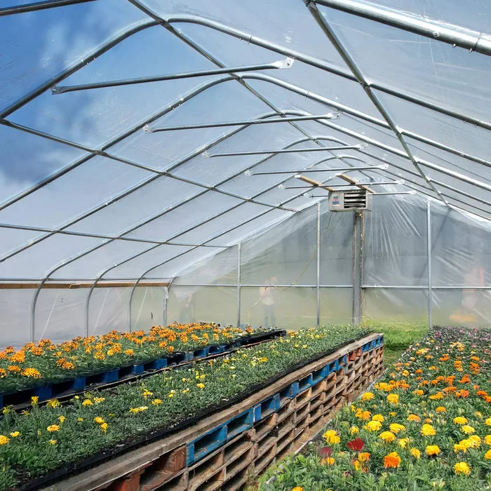 Commercial Polytunnel Greenhouse (25' x 60')