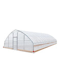Commercial Polytunnel Greenhouse (25' x 60')